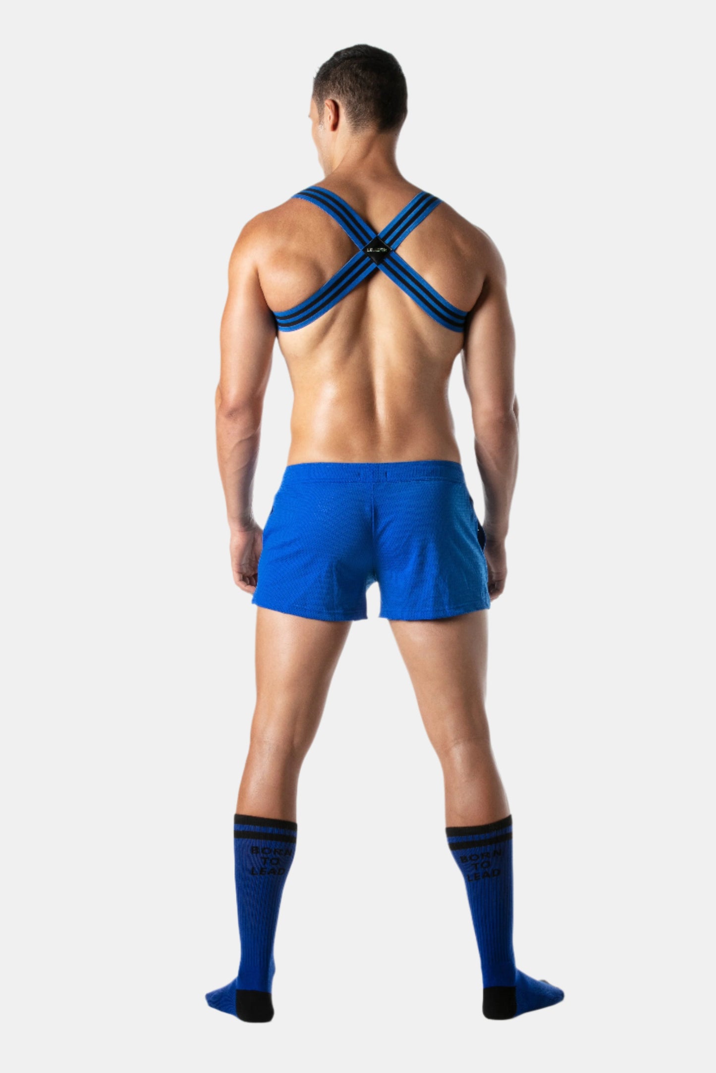 Leader Loaded Harness - Blue