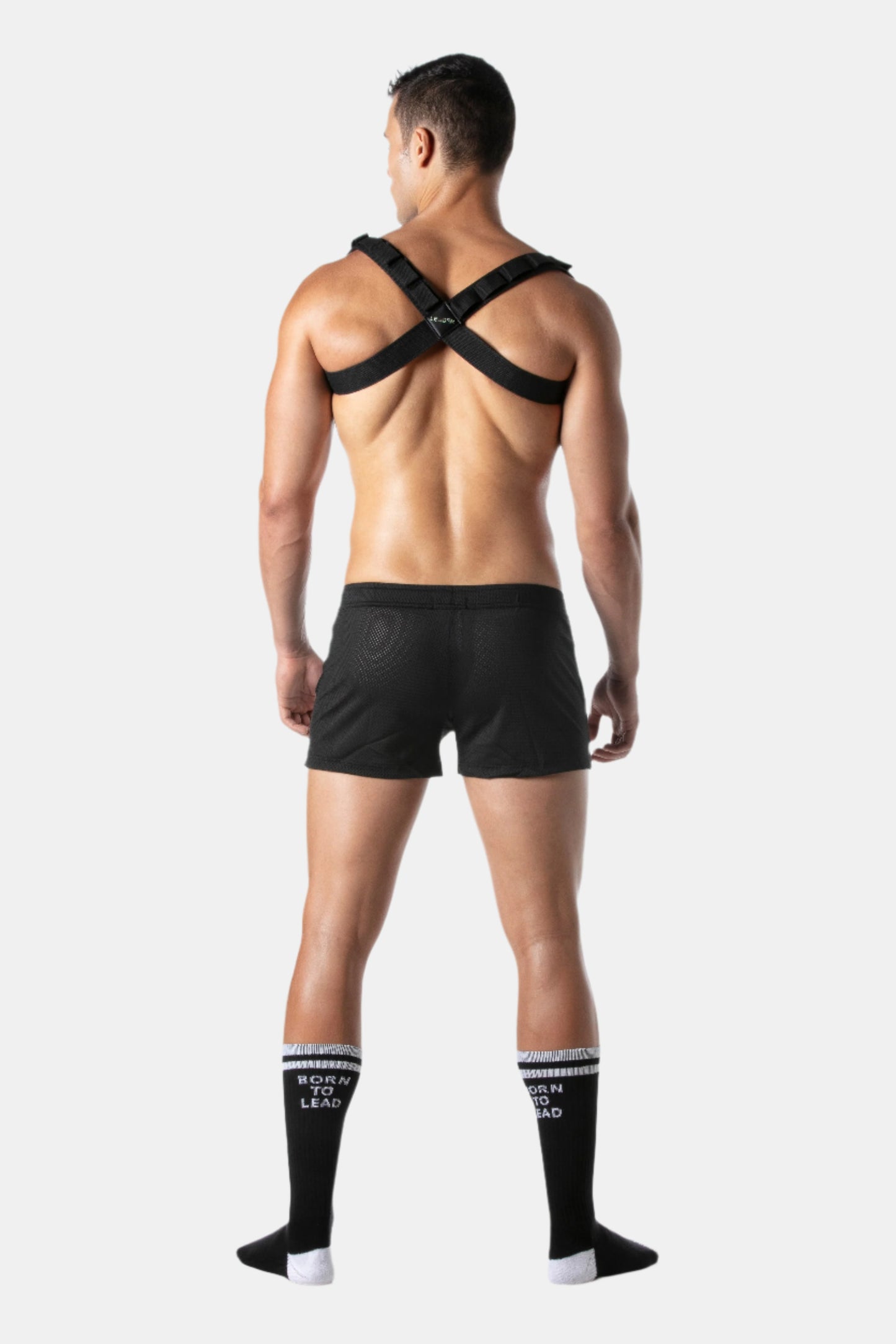 Leader Combat Harness - Black