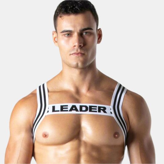 Man wearing a white and black harness
